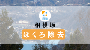相模原　厚木　ほくろ除去　安い